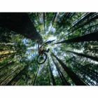 GoPro MISSION 1