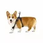 Harnais pour animaux - Insta360