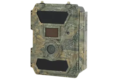 Pige Photographique 4G - Bushwhacker