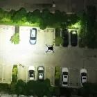 Projecteur LED Wingsland Z15 pour DJI M200