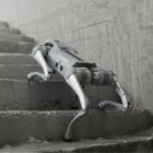 Robot chien Unitree Go2