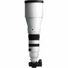 SIGMA 300-600 mm f/4 DG OS Sony E/FE Sports	