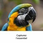 Sony FE 100-400mm F5.6-8 OSS
