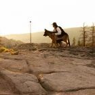 Trépied avec tête sphérique (20cm) - GoPro